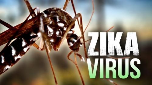 Madagascar touch&eacute; par le virus Zika
