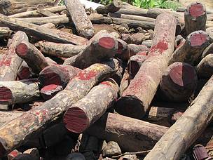 Responsabiliser la population Malagasy &agrave; lutter contre l&rsquo;exploitation illicite des ressources naturelles de Madagascar