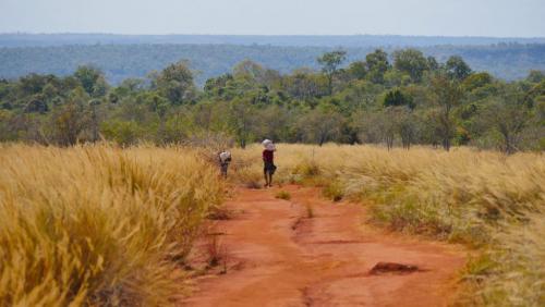 Les touristes toujours plus nombreux &agrave; Madagascar