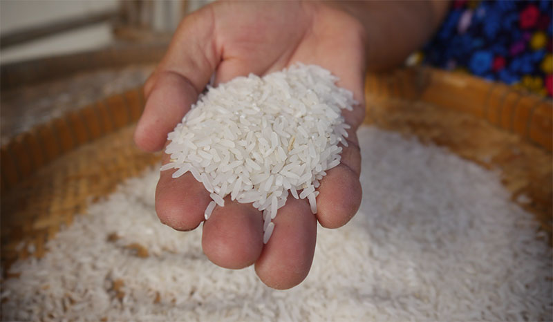 Prix du riz &agrave; Madagascar&nbsp;: la mission impossible du gouvernement
